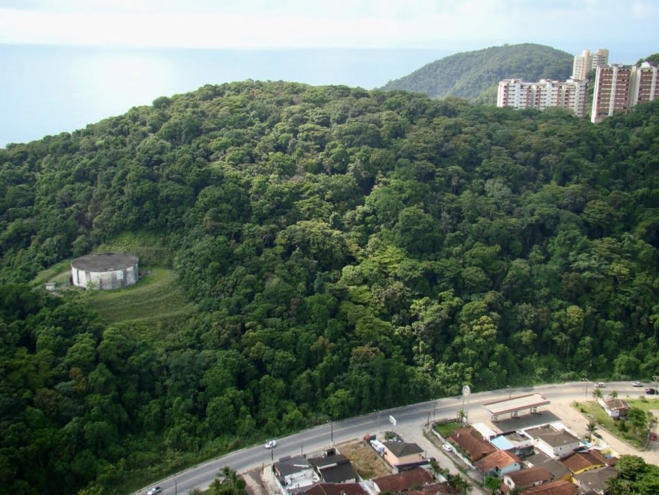 Promover o uso sustentável da floresta urbana local, conciliando a conservação ambiental com outros usos, está no escopo do projeto