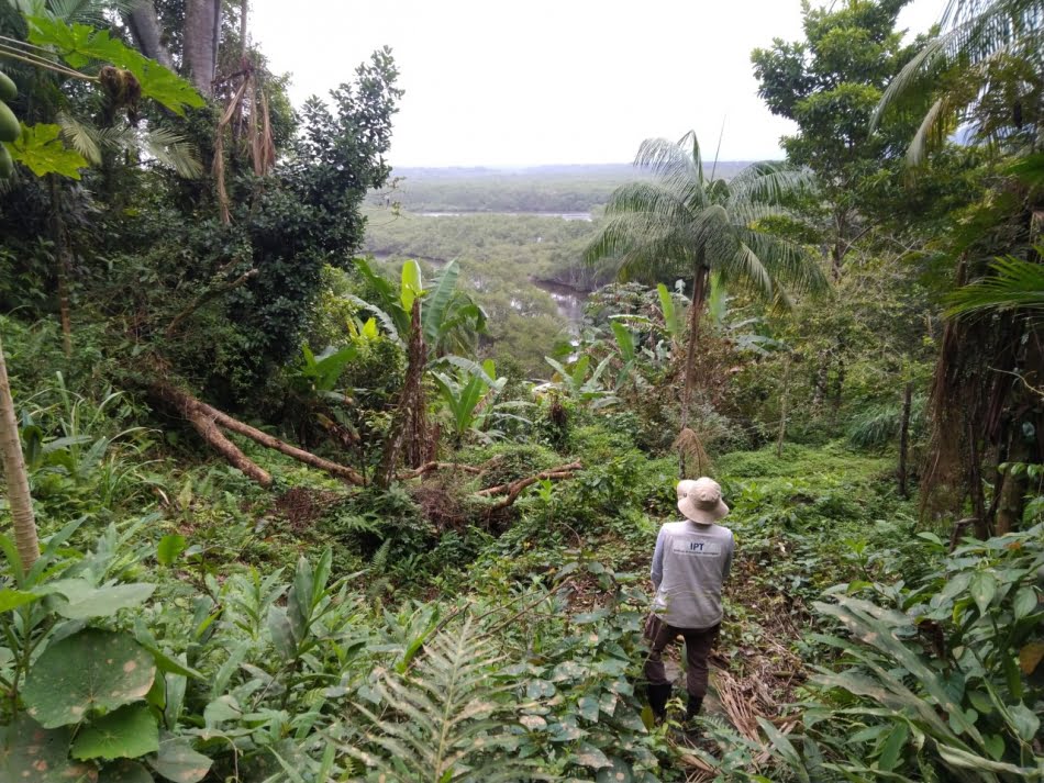Visitas para a coleta de dados foram retomadas no final do mês de agosto - na foto, uma das áreas visitadas no município de Peruíbe