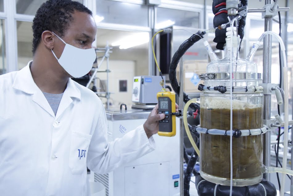 Desafios das vacinas anticovid-19 enfrentados pelas instituições de pesquisa deixaram clara a importância estratégica do domínio tecnológico da produção do chamado Ingrediente Farmacêutico Ativo, o IFA