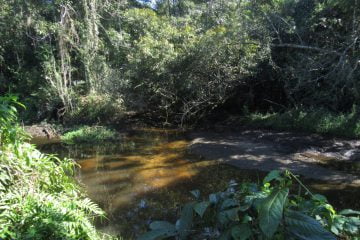 APA Santo Amaro é classificada como de uso sustentável, ou seja, uma área para exploração do ambiente de maneira a garantir a perenidade dos recursos ambientais renováveis e dos processos ecológicos
