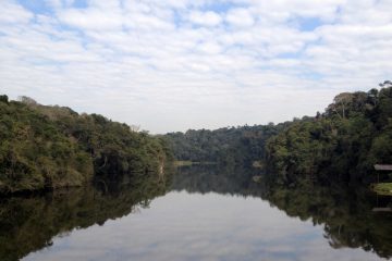 Projeto irá gerar informações para estudos de ampliação e criação de Unidades de Conservação, assim como para a discussão de incentivos de ordem econômica aos municípios com restrições ambientais. Crédito foto: Jumara Bocatto