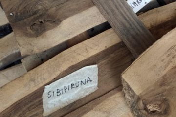 Podas mais sustentáveis 11 Projeto de cooperação busca a promoção de diversos serviços ambientais, como a transformação dos resíduos em produtos de maior valor agregado e também o aumento da vida útil de aterros sanitários