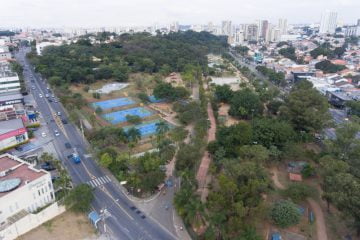 Arborização em Guarulhos 3 Projeto permite pensar e planejar a arborização da cidade de modo a incluir todos os atores envolvidos e compreender o município como um todo. Crédito foto: Diego Secco
