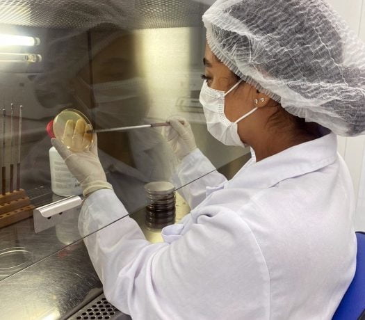 Ensaios de identificação e potencial de biodegradação estão sendo realizados no Laboratório de Biotecnologia Industrial do IPT