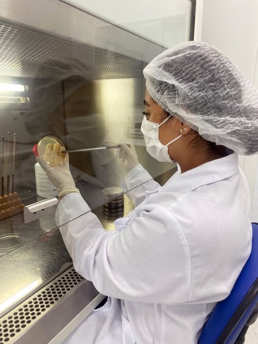 Ensaios de identificação e potencial de biodegradação estão sendo realizados no Laboratório de Biotecnologia Industrial do IPT