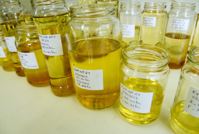 Desafio é produzir catalisador que não deixe resíduos no biodiesel