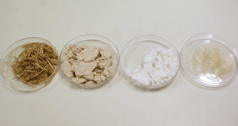 Novas fibras têxteis 2