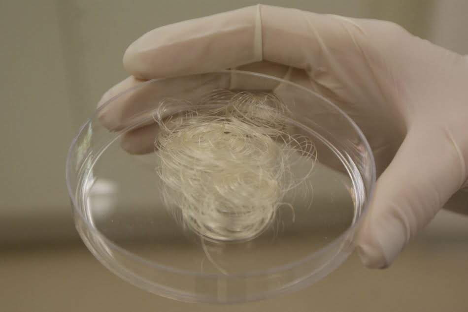 Novas fibras têxteis 4