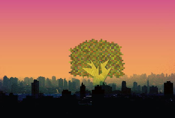 Experiência em árvores urbanas