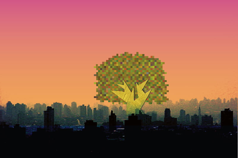 Experiência em árvores urbanas 1 undefined