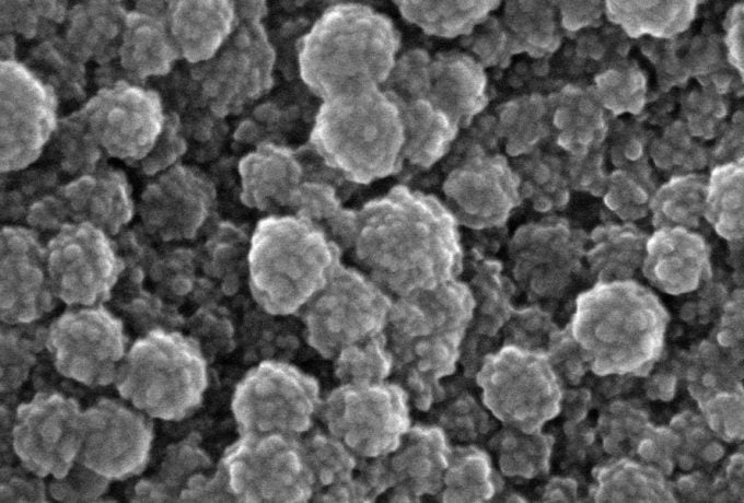 Imagem de MEV (microscopia eletrônica de varredura de alta resolução) com aumento de 100 mil vezes dos nanocarreadores