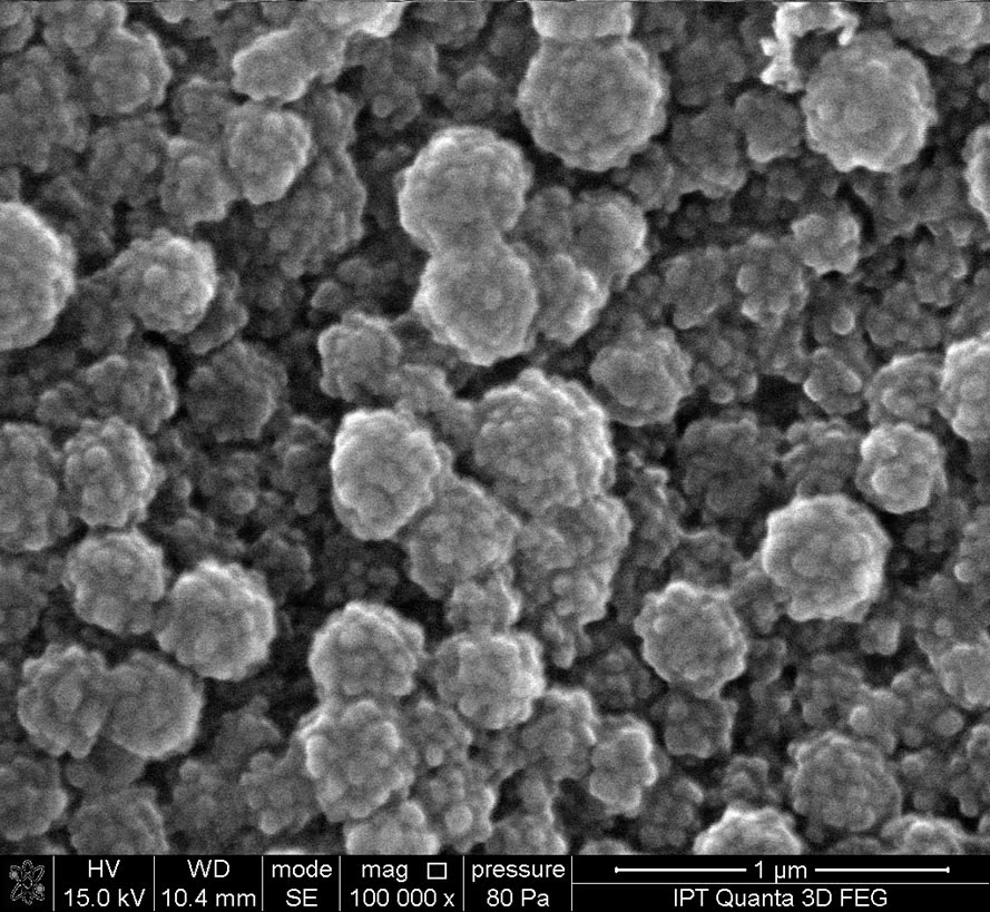 Condutor de fármacos no corpo 1 Imagem de MEV (microscopia eletrônica de varredura de alta resolução) com aumento de 100 mil vezes dos nanocarreadores