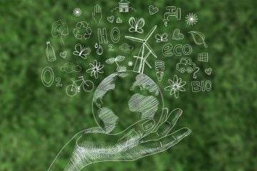 digital screen with environment day