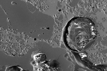 Materiais cerâmicos 9 rrefratarios Interface refratario MgO C e escoria de aciaria ceramico