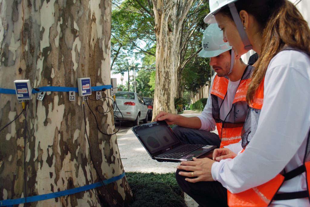Seção de Planejamento Territorial, Recursos Hídricos, Saneamento e Florestas 1 Gestao de arvores urbanas Tomografia para avaliacao do interior da arvore