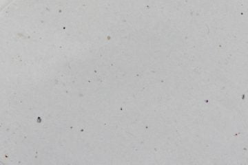 Laboratório de Celulose, Papel e Embalagem 3 LCPE e1693935848928