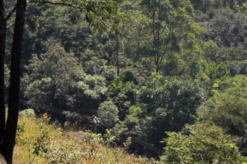 Seção de Planejamento Territorial, Recursos Hídricos, Saneamento e Florestas 3 SPRSF scaled e1693852405288