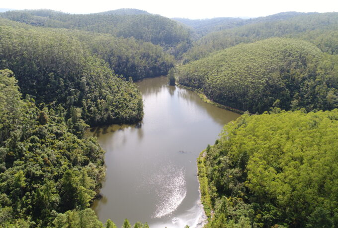 DJI 0008