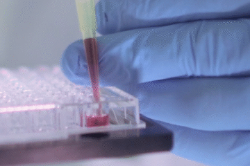 frame Prometheus Bionano e1762362461710