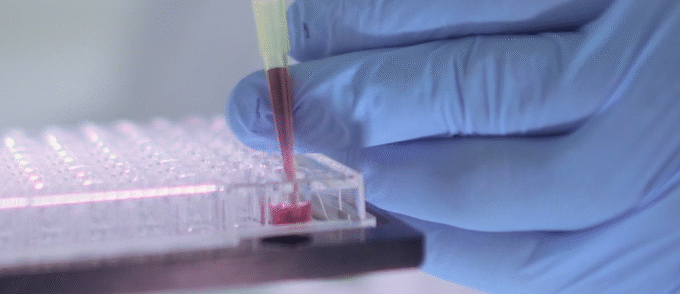 frame Prometheus Bionano e1762362461710