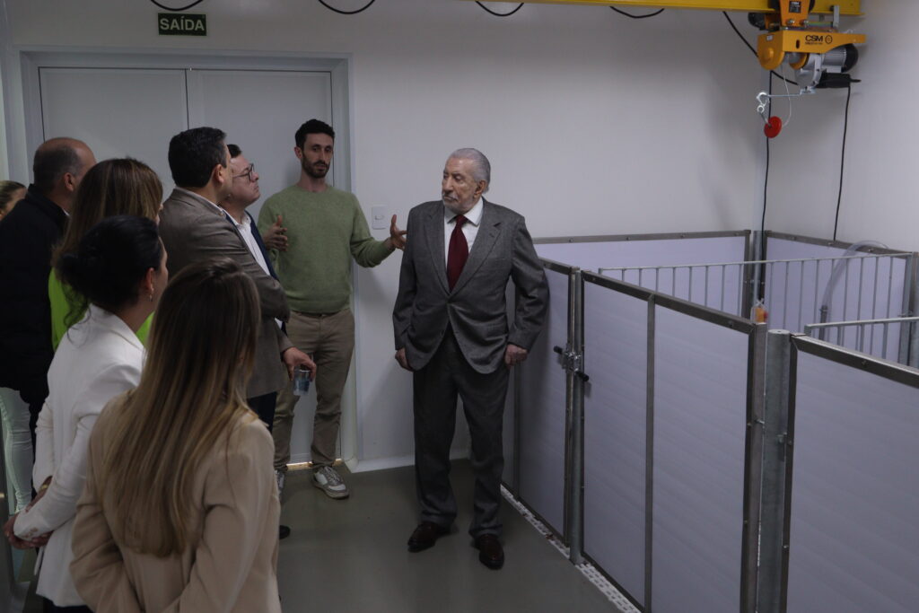 IMG 4624