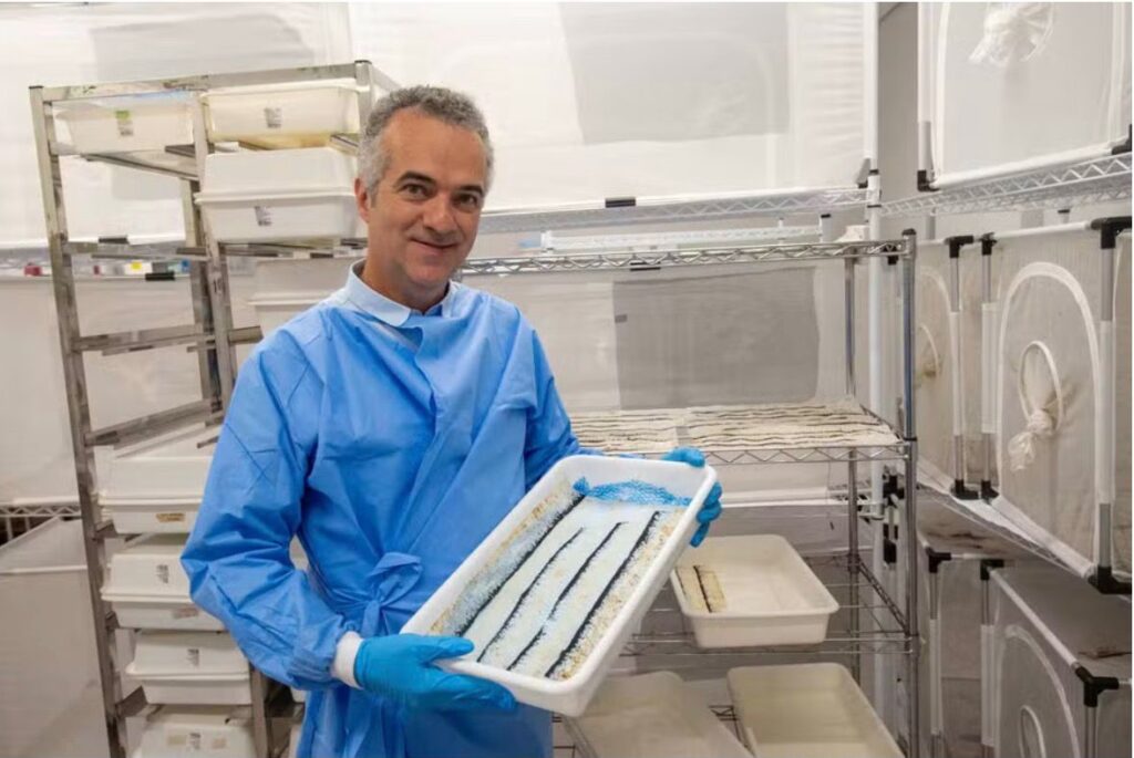 Lista das 100 pessoas mais influentes da Time inclui dois cientistas brasileiros 2 Luciano