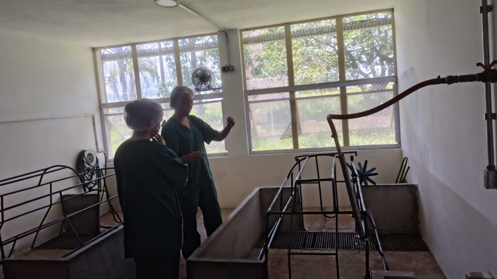 WhatsApp Image 2026 04 10 at 13.21.22